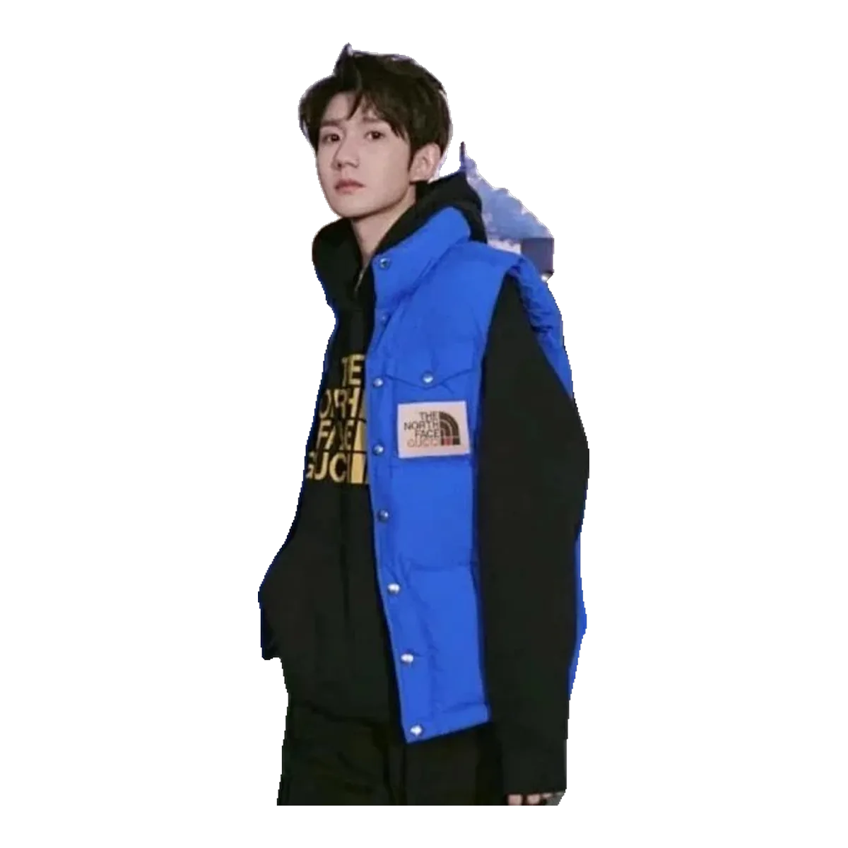 The North Face Vest Blue