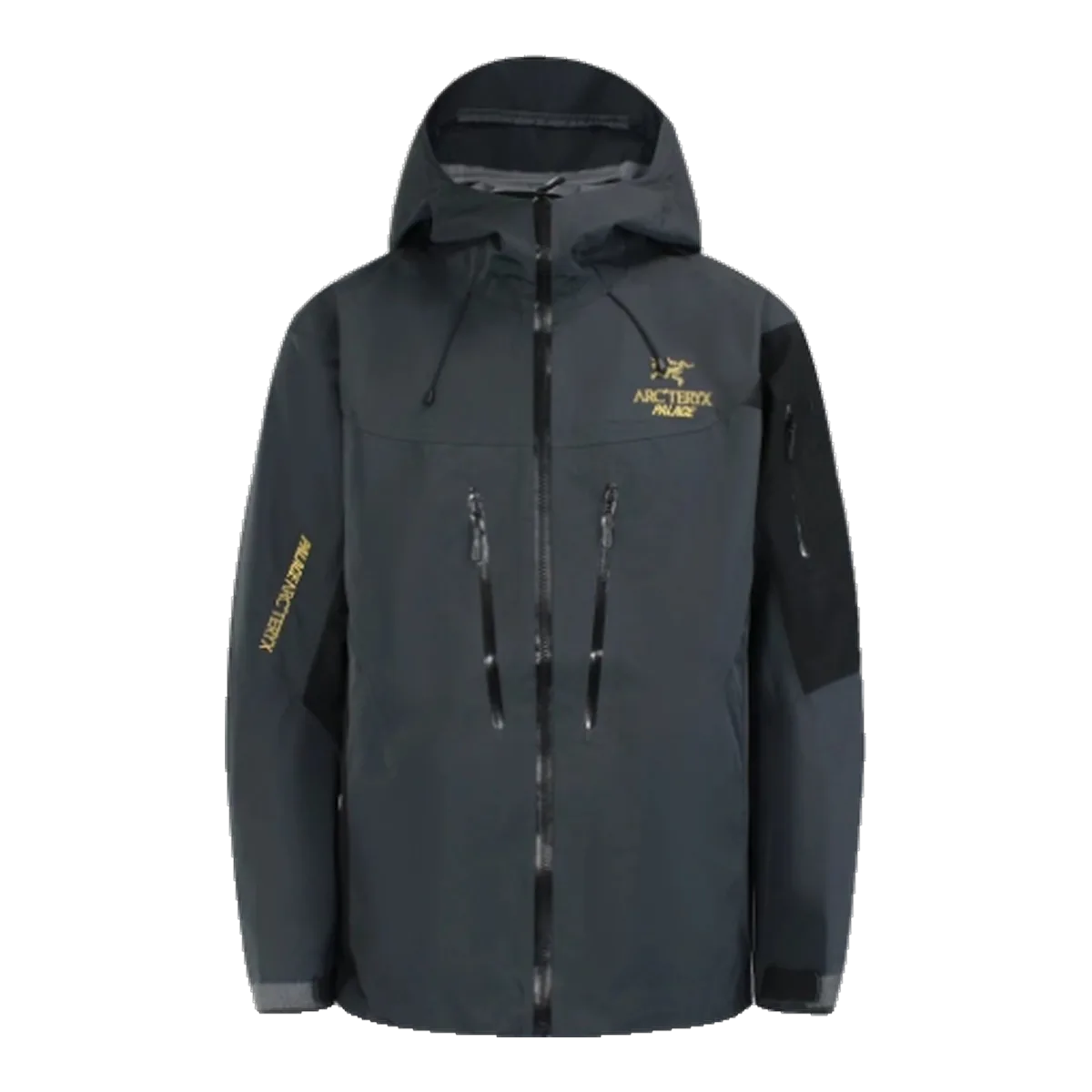 Arc'teryx x Palace Grey Jacket