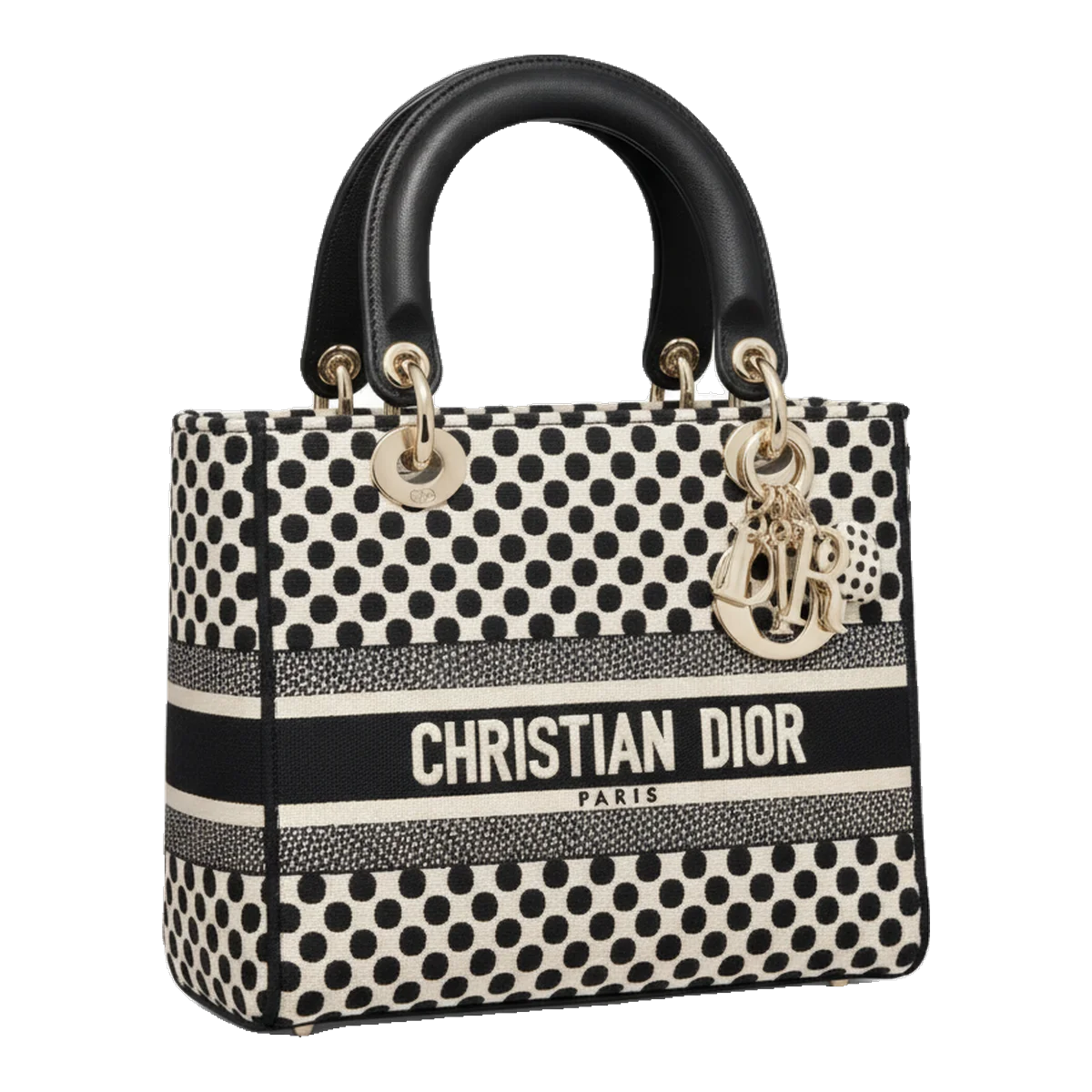 Dior Book Tote Bag
