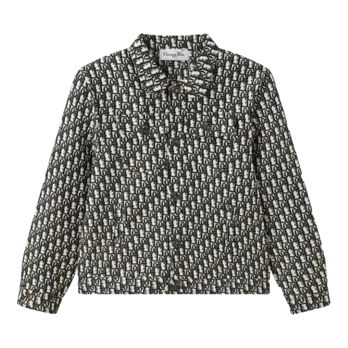 Dior Grey Monogram Jacket