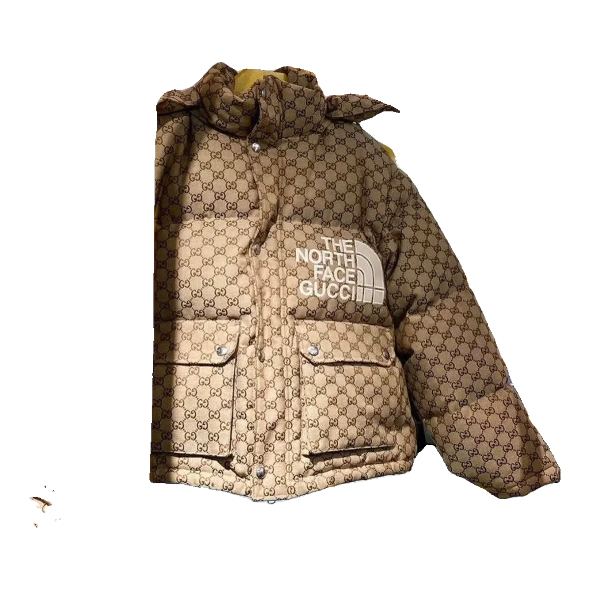 The North Face Monogram Puffer Brown