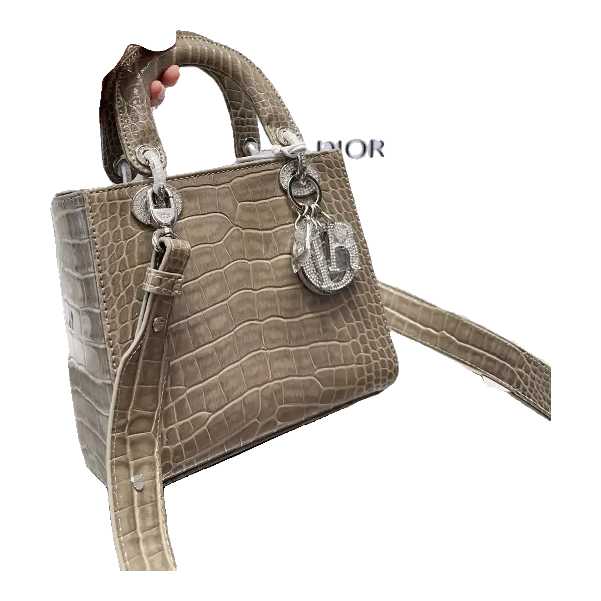 Dior Grey Handbag