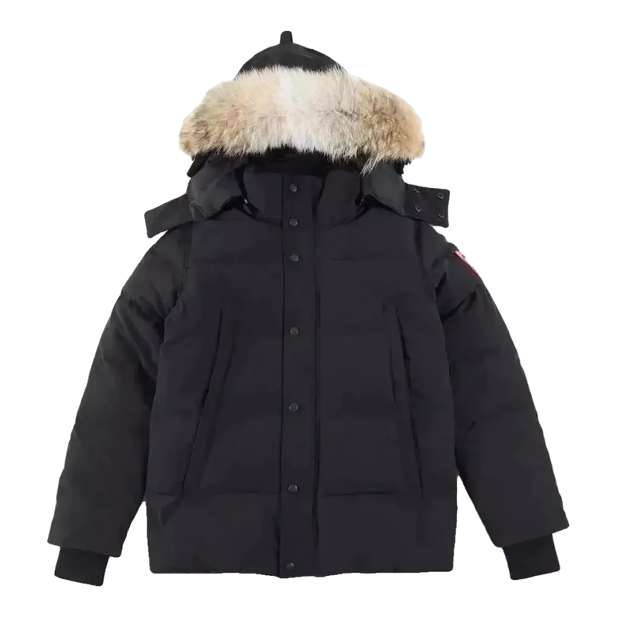 Canada Goose Expedition Parka Black
