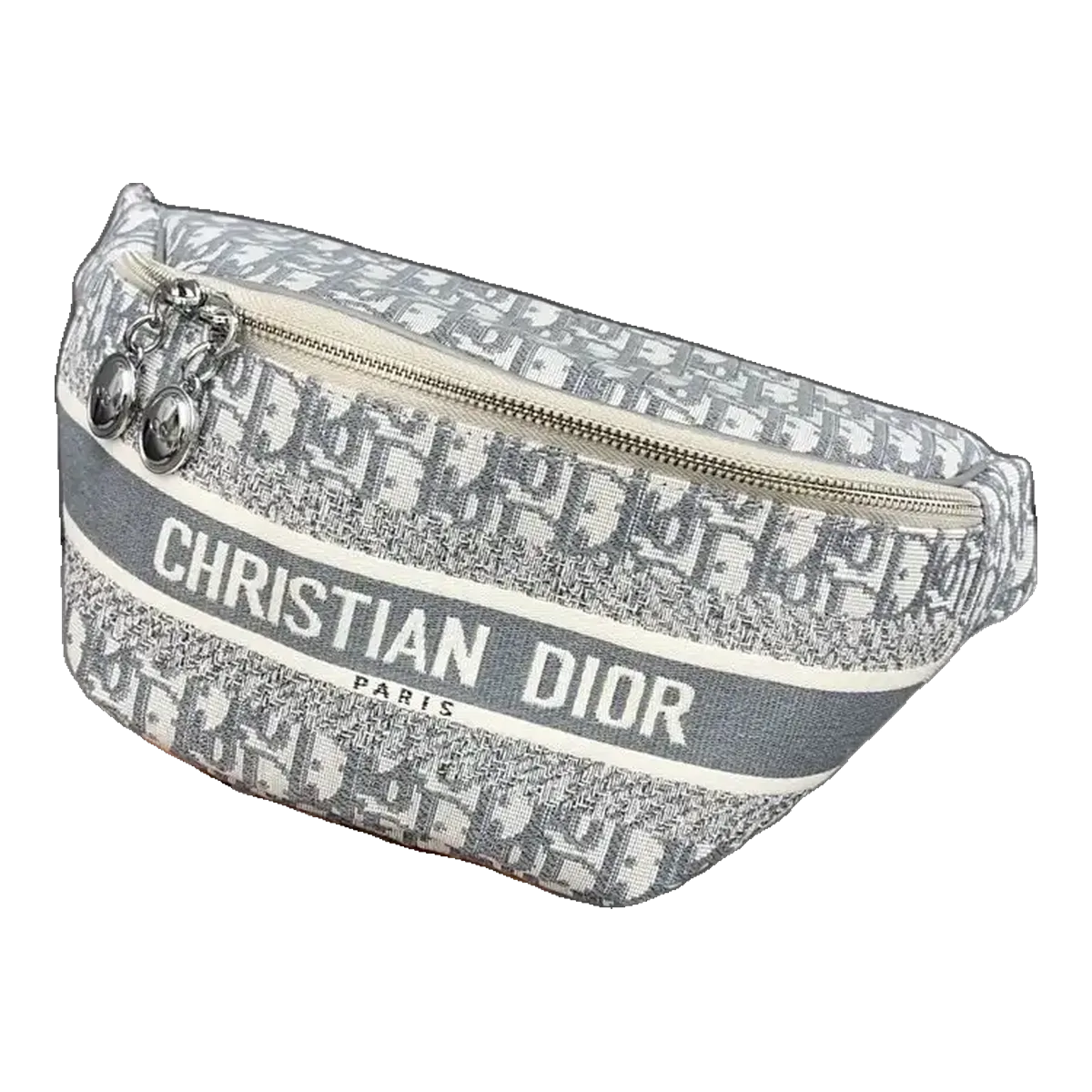 Dior Oblique Saddle Bag