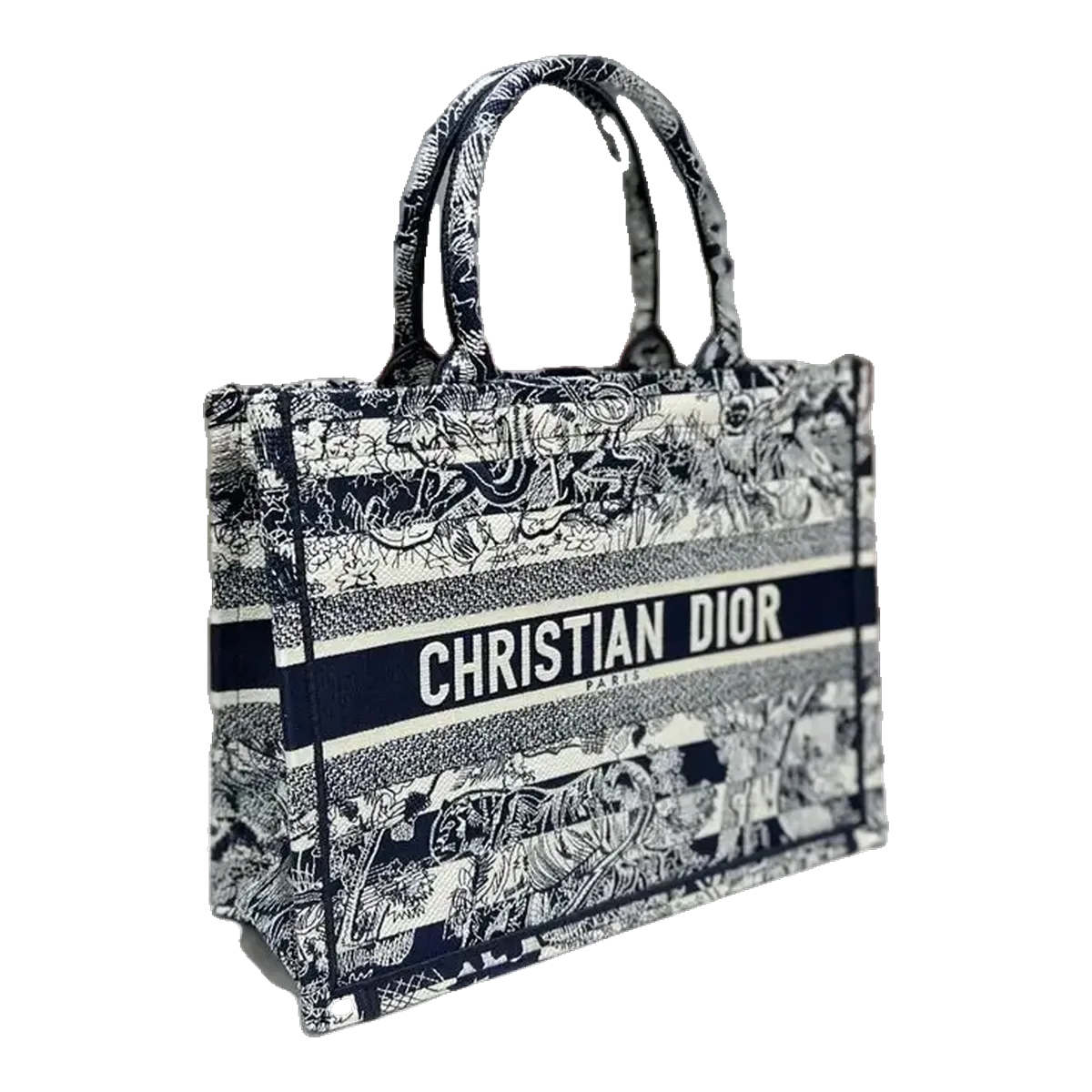 Dior Book Tote Bag Blue