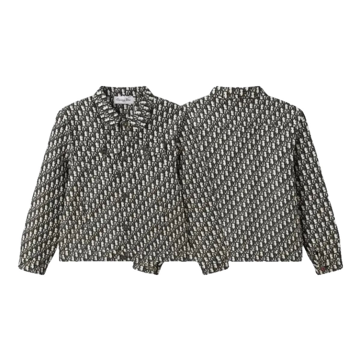 Dior Oblique Jacket Grey