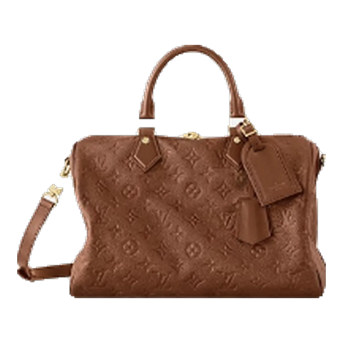Louis Vuitton Monogram Handbag Brown