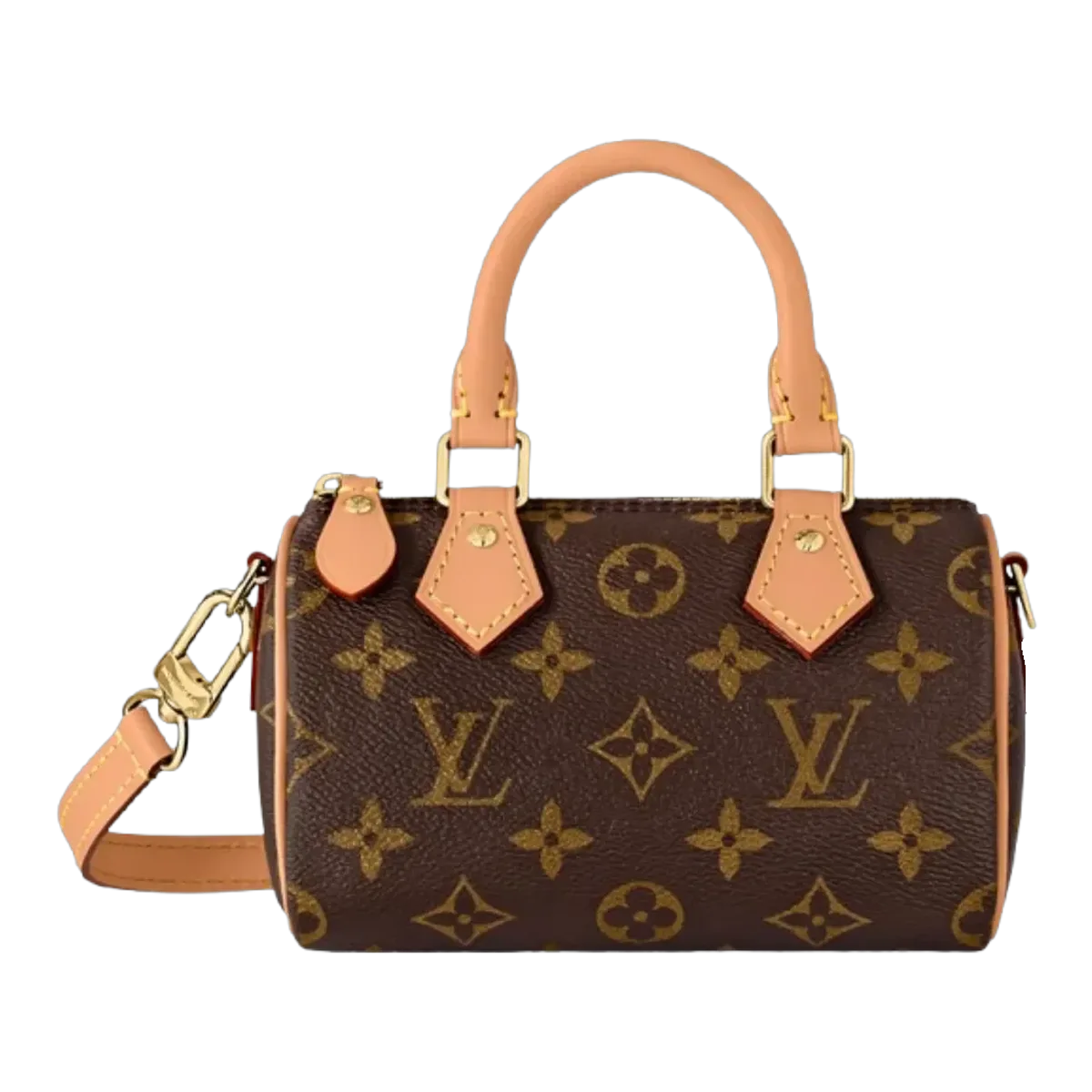 Louis Vuitton Monogram Speedy Bag